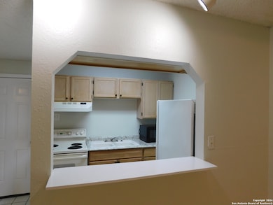 801 Rittiman Rd unit B, San Antonio, TX 78209 - photo 5