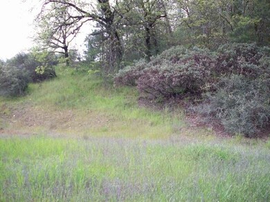 20250117002536001888000000-o