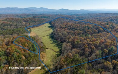 2453 Flat Branch Rd, Ellijay, GA 30540 - photo 3