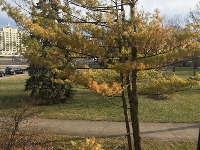 1525 E Thacker St unit 2D, Des Plaines, IL 60016 - photo 3