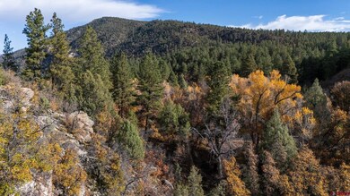 9 Elkridge Ln, Durango, CO 81301 - photo 5