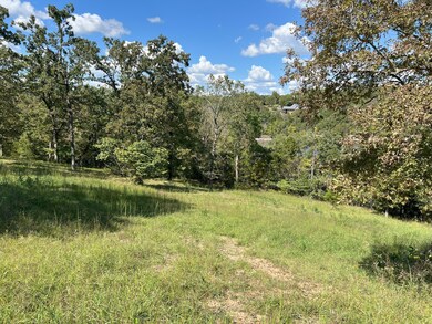 #8 Ledge Rock Ln unit Lot 8, Omaha, AR 72662 - photo 4