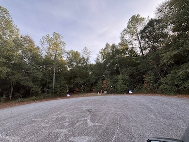 Lot 30 Marie Ln, Bainbridge, GA 39817 - photo 4