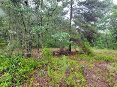 0 SW Driftwood Ct unit MFROM704647, Dunnellon, FL 34431 - photo 3