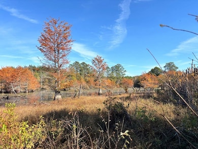 00 Griffin Rd, Shuqualak, MS 39361 - photo 3