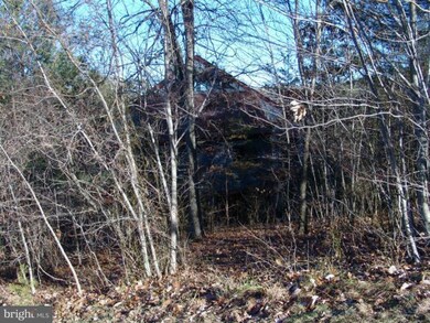 60 Scott Rd, Basye, VA 22810 - photo 3