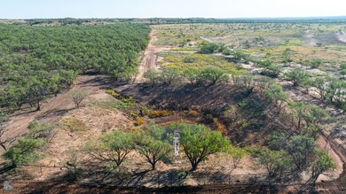 14437 County Road 421, Merkel, TX 79536 - photo 5