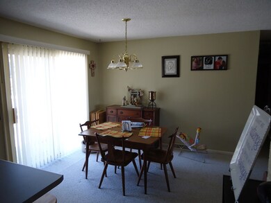 981 Elm Place, Princeton, IL 61356 - photo 6