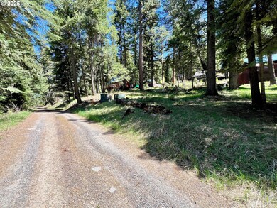 0 Forest Dell Ave unit 622201546, Wallowalake, OR 97846 - photo 5