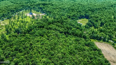 DJI_0482