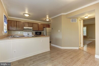 23 Bridgeview Ct, Nottingham, MD 21236 - photo 6