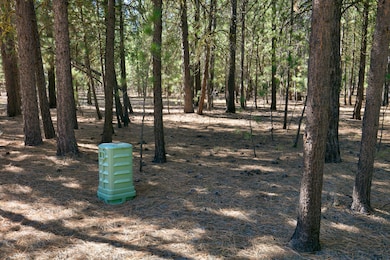 51915 Swiss, La Pine, OR 97739 - photo 7