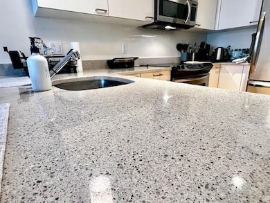 Sierra & Tango Condominiums unit T121, Cambridge, MA 02141 - photo 7