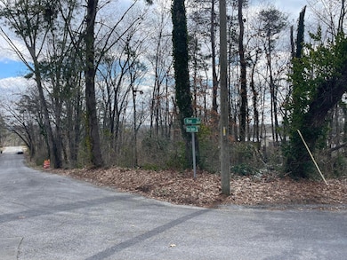 0 Mark Twain Cir unit 1511690, Chattanooga, TN 37406 - photo 3