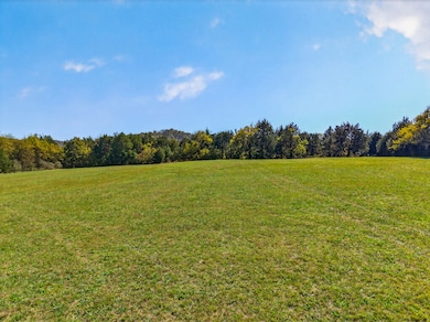 19 Clark Mill Rd, Fayetteville, TN 37334 - photo 4