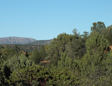 Rim View