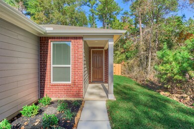 9502 Louis Phillip St, Magnolia, TX 77354 - photo 2