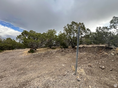 View of front of the lot