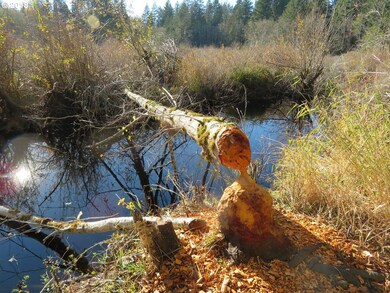 0 Wayne Rd W unit 4 & 5 19216783, Seabeck, WA 98380 - photo 7