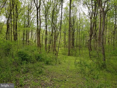 7931 Frys Ln, Windsor Mill, MD 21244 - photo 5