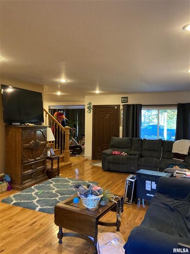 209 Hudson St, Lincoln, IL 62656 - photo 3