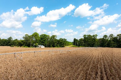 Home Place, Edison, GA 39846 - photo 6