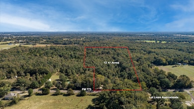 10081 Farm To Market Road 773, Ben Wheeler, TX 75754 - photo 4