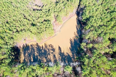 0 Miracle Temple Rd, Byhalia, MS 38611 - photo 2