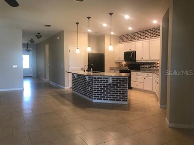 10620 Aldo Moro Dr, Wimauma, FL 33598 - photo 7