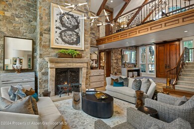 303 W Hopkins Ave, Aspen, CO 81611 - photo 5