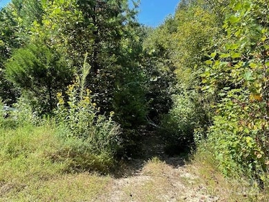 Lots of trees on most of the acreage 