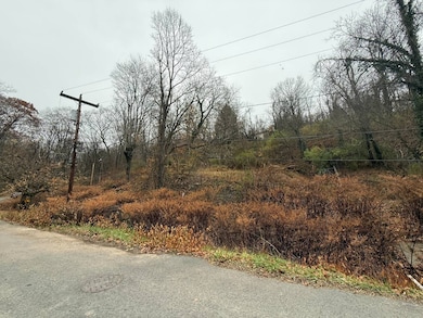 476 & 408 Falling Run Rd, Morgantown, WV 26505 - photo 2