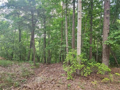 932 Apex Ct, Ranger, GA 30734 - photo 7