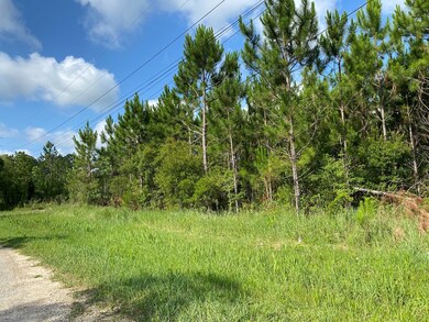 9212 Kiln Waveland Cutoff, Waveland, MS 39520 - photo 6