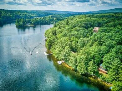 Middle Range Pond aerial view.