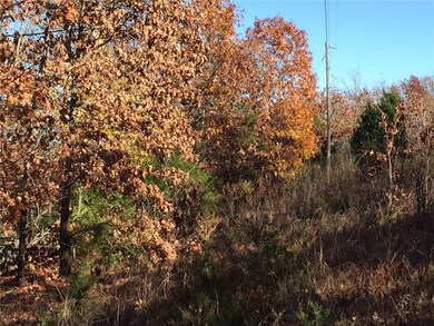 0 SE Slaty Gap Cr# 4149 Rd unit 1032281, West Fork, AR 72744 - photo 2