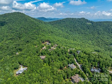 72 Smokey Ridge Trail unit 196, Arden, NC 28704 - photo 5