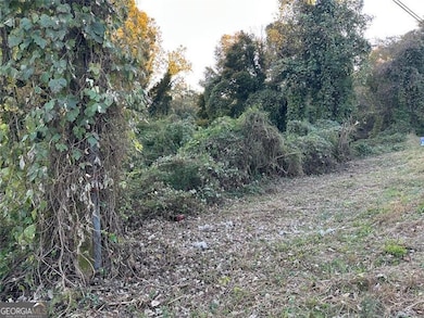 2046 Old Cornelia Hwy, Gainesville, GA 30501 - photo 6