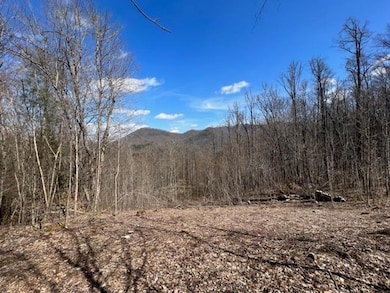 00 River Road Trace, Franklin, NC 28734 - photo 2