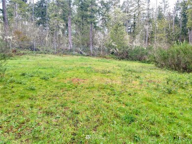 17301 17302 Hill Ct SE, Yelm, WA 98597 - photo 5