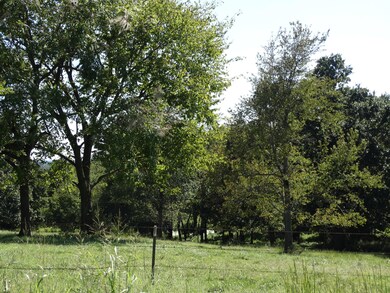 DSC03005