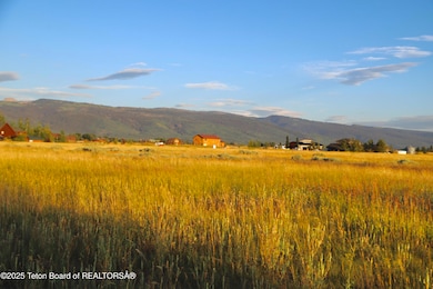 ONeil Saddlehorn-7394