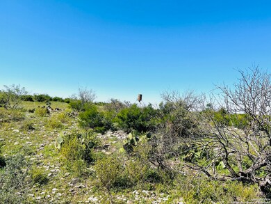 TBD Hargrove Winters Rd, Coms, TX 78837 - photo 6