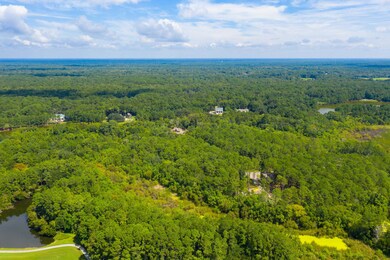 4117 Nesting Egret Dr, Johns Island, SC 29455 - photo 7