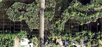 1303 NE 1st St, Carrabelle, FL 32322 - photo 2