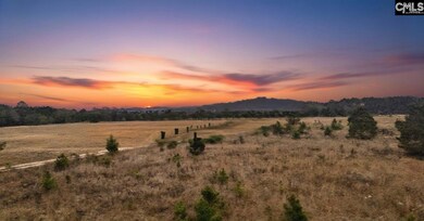 0 Athens Field Rd unit 622827, Swansea, SC 29160 - photo 3