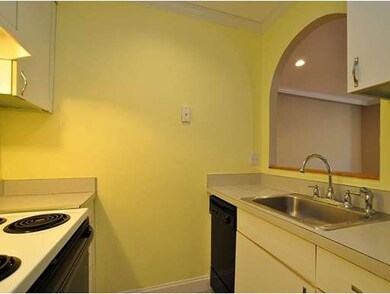 20 E Springfield St unit 1, Boston, MA 02118 - photo 4