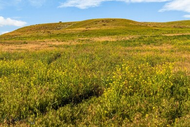 Looking east to the State Land