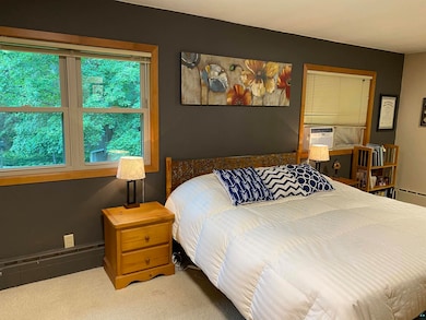 Bedroom with carpet flooring and a baseboard radiator