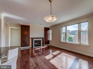 The Ritz-Carlton Residences, Baltimore, MD 21230 - photo 5